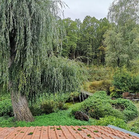 Vakantieverblijf Volmolen B&B Maaseik Exterior foto