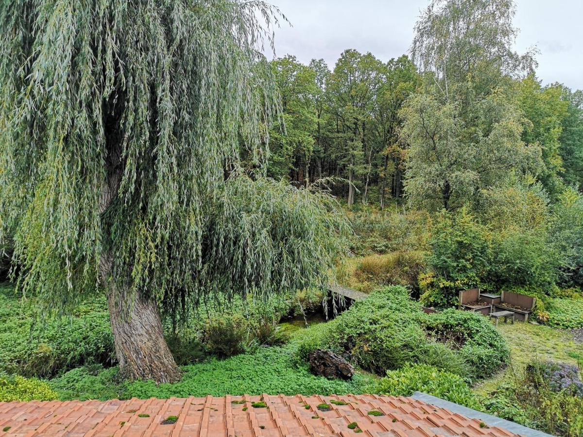 Appartement Vakantieverblijf Volmolen Maaseik